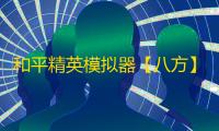 和平精英模拟器【八方】辅助