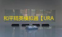 和平精英模拟器【URA】辅助