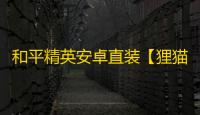 和平精英安卓直装【狸猫/功夫熊猫直装】辅助