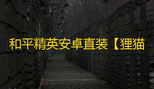 和平精英安卓直装【狸猫/功夫熊猫直装】辅助