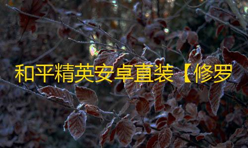 和平精英安卓直装【修罗直装】辅助