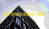 和平精英安卓直装【枫叶直装】辅助