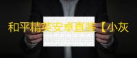 和平精英安卓直装【小灰灰原大象直装】辅助