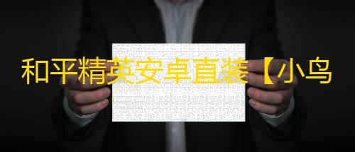 和平精英安卓直装【小鸟游六花直装】辅助