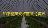 和平精英安卓直装【魔方直装】辅助