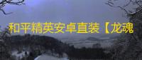 和平精英安卓直装【龙魂直装】辅助