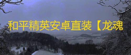 和平精英安卓直装【龙魂直装】辅助
