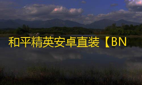 和平精英安卓直装【BN直装】辅助