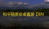 和平精英安卓直装【BN直装】辅助
