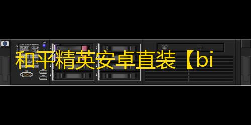 和平精英安卓直装【bing直装】辅助