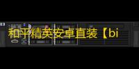 和平精英安卓直装【bing直装】辅助